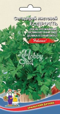 Сельдерей Бодрость / Бодрый день листовой (0,25 г) Уральский Дачник