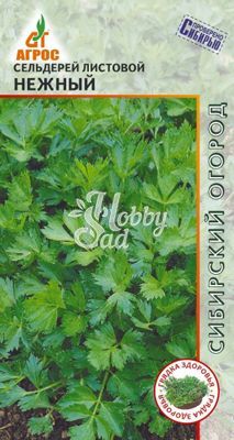 Сельдерей Нежный листовой (1 г) Агрос