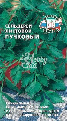 Сельдерей Пучковый листовой (0,5 г) Седек