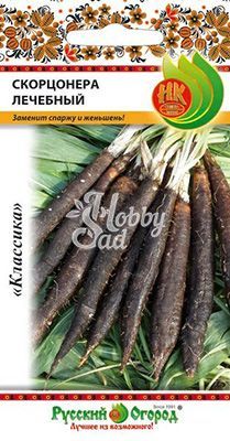 Скорцонера Лечебный (0,5 г) Русский Огород