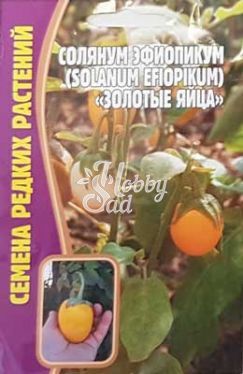 Солянум Эфиопикум Золотые Яйца (12 шт) ЭКЗОТИКА