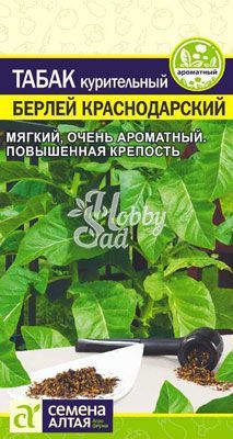 Табак Берлей Краснодарский (0,01 гр) Семена Алтая 