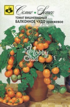 Томат Балконное чудо (оранжевое) (0,05 г) Семко