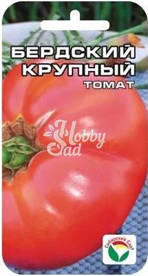 Томат Бердский крупный (20 шт) Сибирский Сад