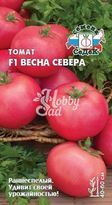 Томат Весна Севера F1 (0,05 г) Седек