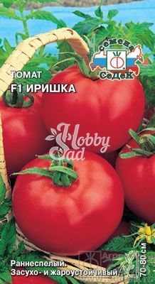 Томат Иришка F1 (0,05 г) Седек