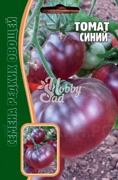 Томат Синий (12 шт) ЭКЗОТИКА