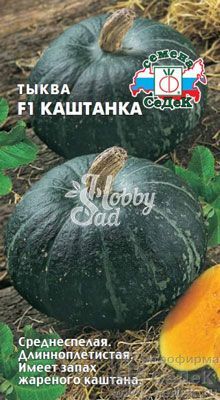 Тыква Каштанка F1 (1 г) Седек