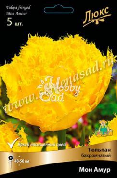 Тюльпан Мон Амур 11/12 Люкс (5 шт) Поиск