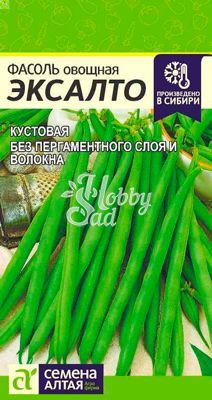 Фасоль Эксалто (5 г) Семена Алтая