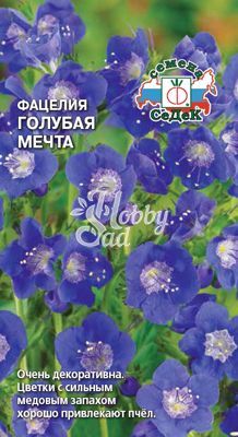 Фацелия Голубая мечта (2 г) Седек