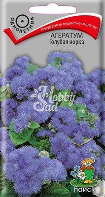 Цветы Агератум Голубая норка (0,1 г) Поиск