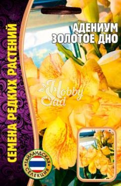 Цветы Адениум Золотое Дно (3 шт) ЭКЗОТИКА Комнатные