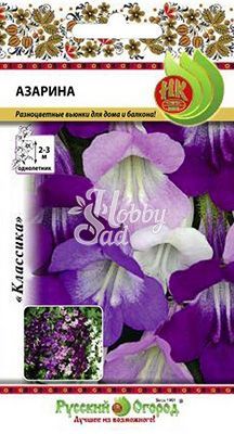 Цветы Азарина смесь (10 шт) Русский Огород