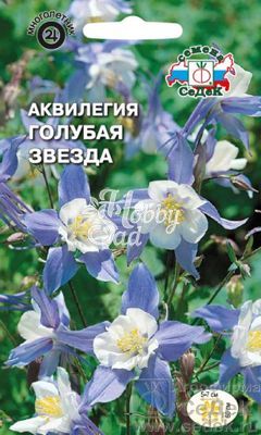 Цветы Аквилегия Голубая Звезда  (0,1 г) Седек