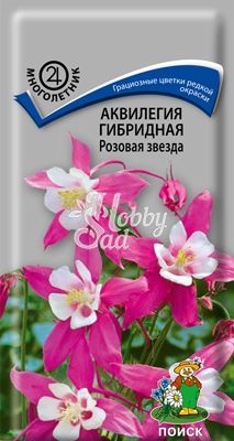 Цветы Аквилегия Розовая Звезда гибридная (0,05 г) Поиск