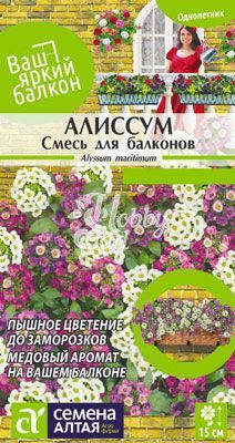 Цветы Алиссум Смесь для балконов (0,2 г) Семена Алтая серия Ваш Яркий Балкон