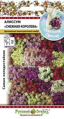 Цветы Алиссум Снежная королева смесь (50 шт) Русский Огород серия Северное сияние