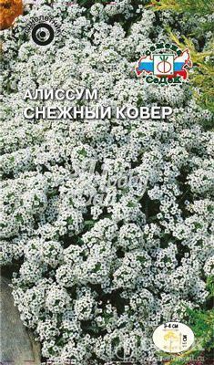Цветы Алиссум Снежный ковер (морской) (0,2 г) Седек
