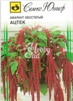 Цветы Амарант Ацтек (0,1 г) Семко