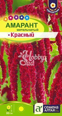 Цветы Амарант Красный метельчатый (0,5 гр) Семена Алтая