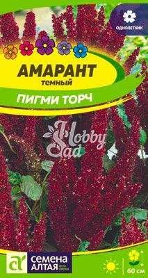 Цветы Амарант Пигми Торч темный (0,2 г) Семена Алтая