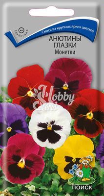 Цветы Анютины глазки (Виола) Монетки (0,2 г) Поиск