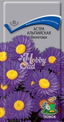Цветы Астра Альпийская Фиолетовая (0,04 г) Поиск