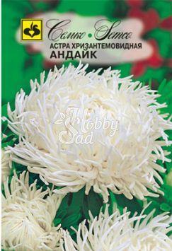 Цветы Астра Андайк хризантемовидная (0,5 г) Семко