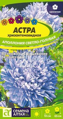 Цветы Астра Аполлония Светло-голубая хризантемовидная (0,2 гр) Семена Алтая