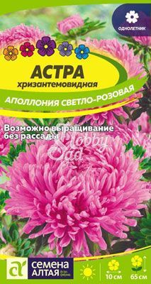 Цветы Астра Аполлония Светло-розовая хризантемовидная (0,2 гр) Семена Алтая