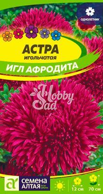 Цветы Астра Афродита Игл (0,2 гр) Семена Алтая