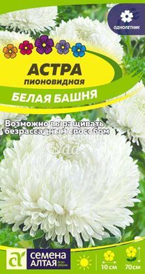 Цветы Астра Белая Башня пионовидная (0,2 гр) Семена Алтая