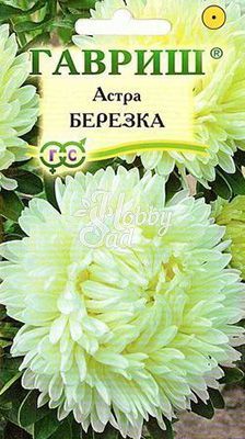 Цветы Астра Берёзка воронежская белая (0,3 г) Гавриш серия Эксклюзив 