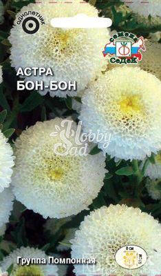 Цветы Астра Бон-бон (0,2 г) Седек