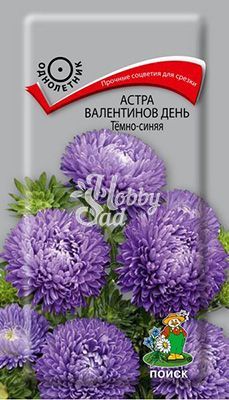 Цветы Астра Валентинов день темно-синяя (0,2 г) Поиск