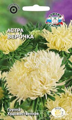 Цветы Астра Верочка (0,2 г) Седек