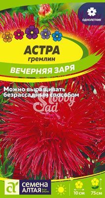 Цветы Астра Вечерняя Заря гремлин (0,2 гр) Семена Алтая