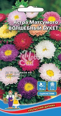 Цветы Астра Волшебный букет матсумото (0,2 г) Уральский Дачник