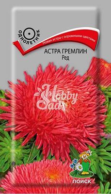 Цветы Астра Гремлин ред (0,3 г) Поиск 