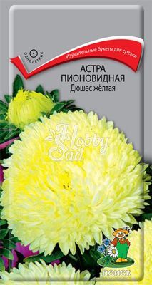 Цветы Астра Дюшес желтая пионовидная (0,3 г) Поиск
