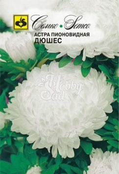 Цветы Астра Дюшес пионовидная (0,5 г) Семко