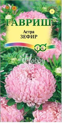 Цветы Астра Зефир пионовидная нежно-розовая (0,3 г) Гавриш