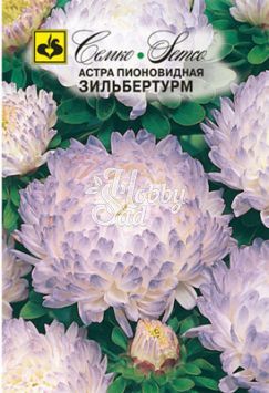 Цветы Астра Зильбертурм пионовидная (0,5 г) Семко