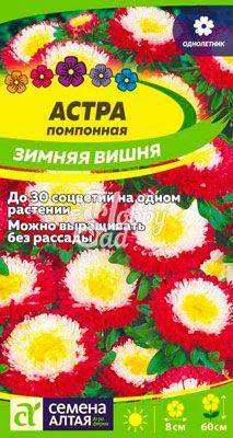 Цветы Астра Зимняя Вишня помпонная (0,2 гр) Семена Алтая