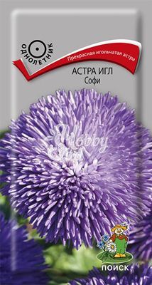 Цветы Астра Игл Софи (0,3 г) Поиск