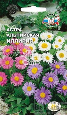 Цветы Астра Иллирия альпийская смесь (0,125 г) Седек