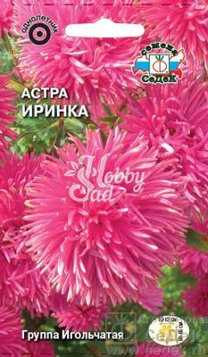 Цветы Астра Иринка игольчатая,ярко-розовая (0,2г) Седек