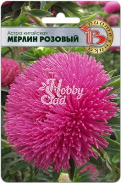 Цветы Астра китайская Мерлин Розовый (50 шт) Биотехника