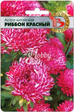 Цветы Астра китайская Риббон Красный (30 шт) Биотехника